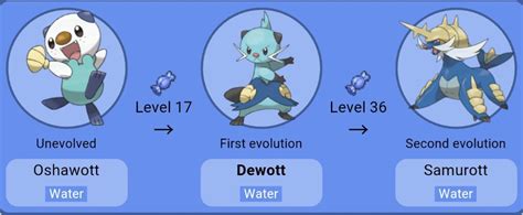 what level does dewott evolve